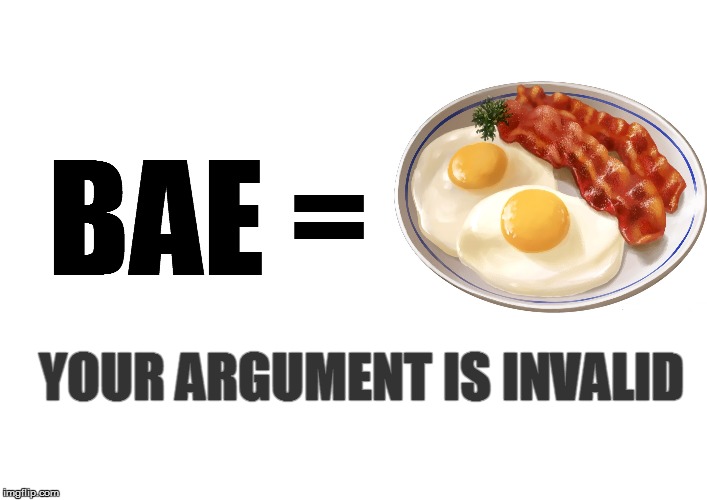 BAE = YOUR ARGUMENT IS INVALID | made w/ Imgflip meme maker