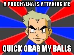 Professor Oak Meme | A POOCHYENA IS ATTAKING ME; QUICK GRAB MY BALLS | image tagged in memes,professor oak | made w/ Imgflip meme maker