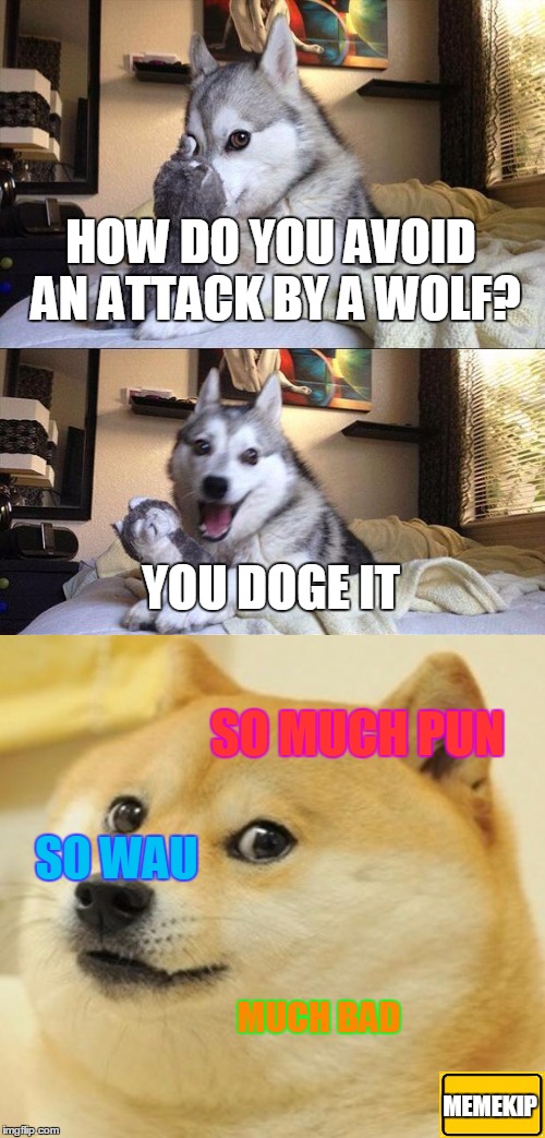 Bad Pun Dog Meme | HOW DO YOU AVOID AN ATTACK BY A WOLF? YOU DOGE IT; SO MUCH PUN; SO WAU; MUCH BAD; MEMEKIP | image tagged in memes,bad pun dog,doge | made w/ Imgflip meme maker