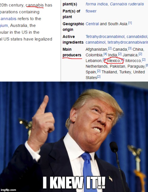 I KNEW IT!! | image tagged in donald trump,trump,mexicans,wikipedia | made w/ Imgflip meme maker