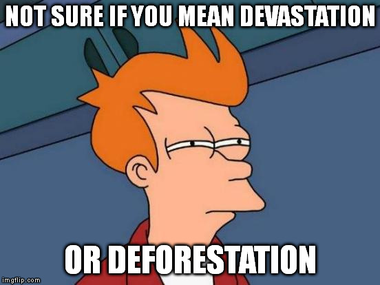 Futurama Fry Meme | NOT SURE IF YOU MEAN DEVASTATION OR DEFORESTATION | image tagged in memes,futurama fry | made w/ Imgflip meme maker