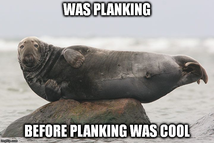WAS PLANKING BEFORE PLANKING WAS COOL | made w/ Imgflip meme maker