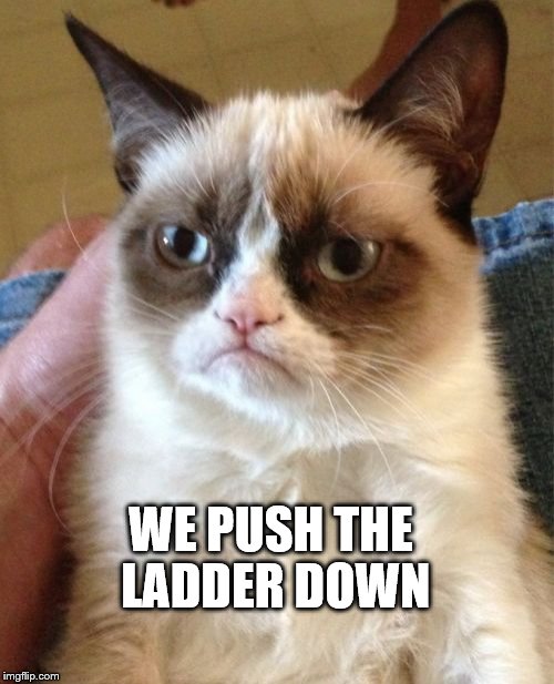 Grumpy Cat Meme | WE PUSH THE LADDER DOWN | image tagged in memes,grumpy cat | made w/ Imgflip meme maker