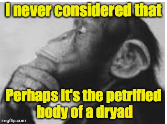 I never considered that Perhaps it's the petrified body of a dryad | made w/ Imgflip meme maker