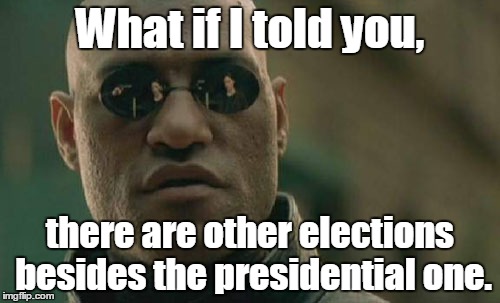 Matrix Morpheus | What if I told you, there are other elections besides the presidential one. | image tagged in memes,matrix morpheus | made w/ Imgflip meme maker