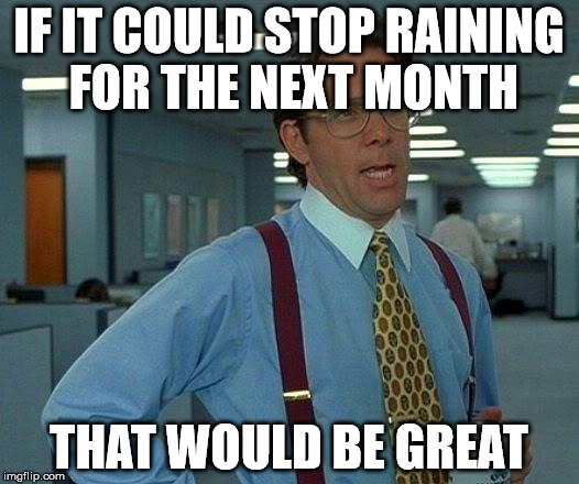 That Would Be Great Meme | IF IT COULD STOP RAINING FOR THE NEXT MONTH; THAT WOULD BE GREAT | image tagged in memes,that would be great | made w/ Imgflip meme maker