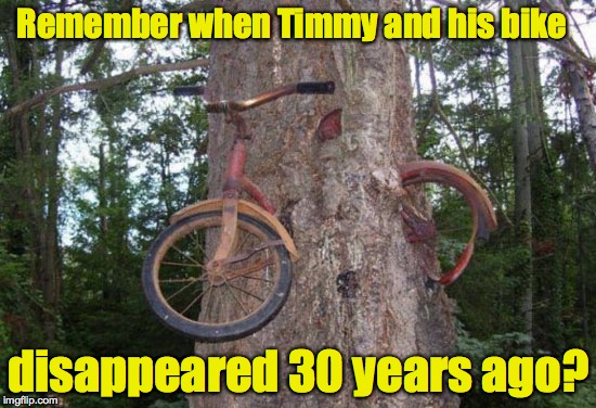 Where rural legends come from | Remember when Timmy and his bike; disappeared 30 years ago? | image tagged in tree,bike | made w/ Imgflip meme maker