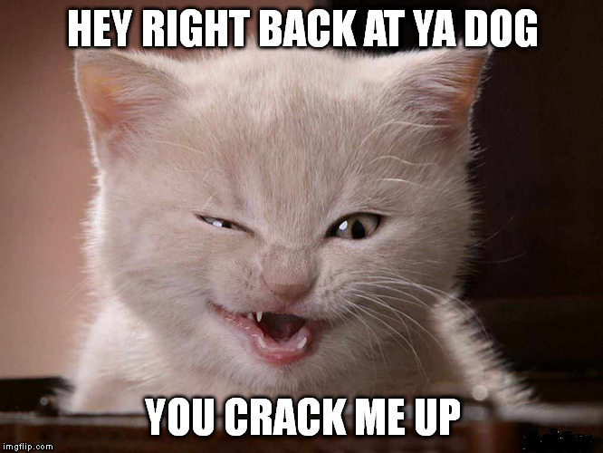 HEY RIGHT BACK AT YA DOG YOU CRACK ME UP | made w/ Imgflip meme maker