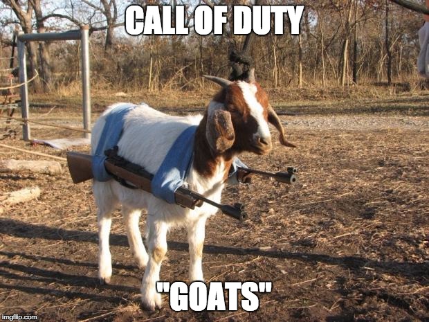 said this when i was talking about cod ghosts |  CALL OF DUTY; "GOATS" | image tagged in call of duty goat | made w/ Imgflip meme maker