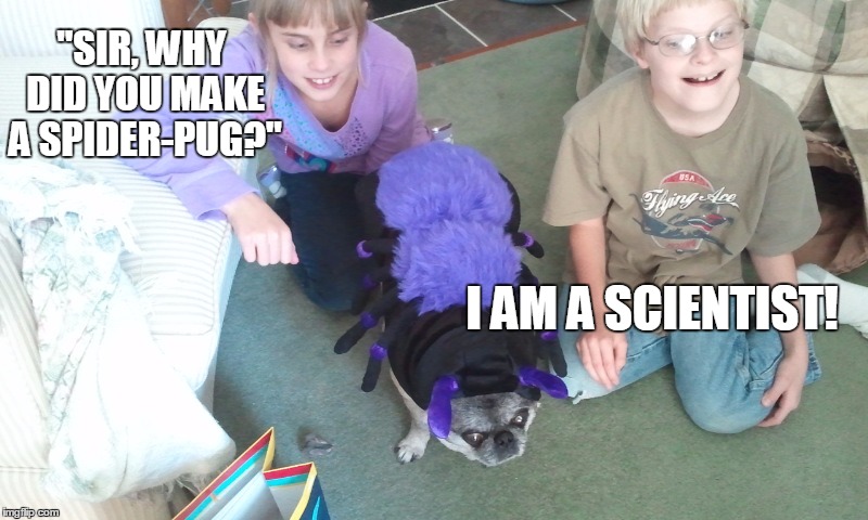 I am a Scientist! | "SIR, WHY DID YOU MAKE A SPIDER-PUG?"; I AM A SCIENTIST! | image tagged in scientist,pug,weird,science | made w/ Imgflip meme maker