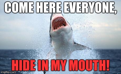 Trust The Shark | COME HERE EVERYONE, HIDE IN MY MOUTH! | image tagged in shark,original meme | made w/ Imgflip meme maker