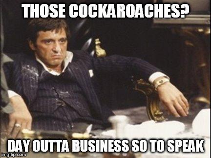 THOSE COCKAROACHES? DAY OUTTA BUSINESS SO TO SPEAK | made w/ Imgflip meme maker