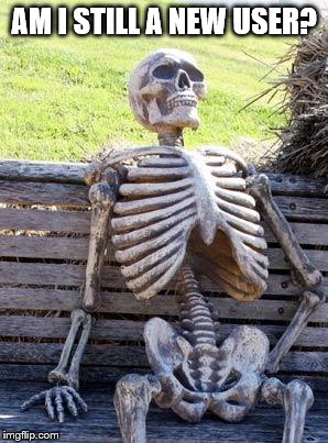 Waiting Skeleton Meme | AM I STILL A NEW USER? | image tagged in memes,waiting skeleton | made w/ Imgflip meme maker
