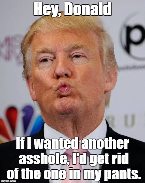 Hey, Donald If I wanted another asshole, I'd get rid of the one in my pants. | made w/ Imgflip meme maker