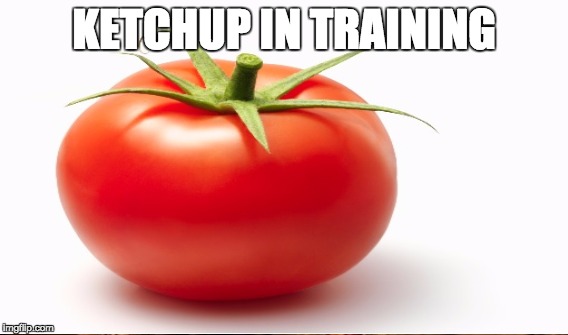 KETCHUP IN TRAINING | image tagged in tomato,ketchup,catsup,training | made w/ Imgflip meme maker