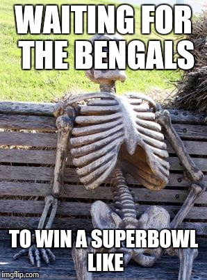 Waiting Skeleton Meme | WAITING FOR THE BENGALS; TO WIN A SUPERBOWL LIKE | image tagged in memes,waiting skeleton | made w/ Imgflip meme maker