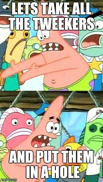 Put It Somewhere Else Patrick Meme | LETS TAKE ALL THE TWEEKERS; AND PUT THEM IN A HOLE | image tagged in memes,put it somewhere else patrick | made w/ Imgflip meme maker