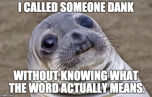 Awkward Moment Sealion | I CALLED SOMEONE DANK; WITHOUT KNOWING WHAT THE WORD ACTUALLY MEANS. | image tagged in memes,awkward moment sealion | made w/ Imgflip meme maker