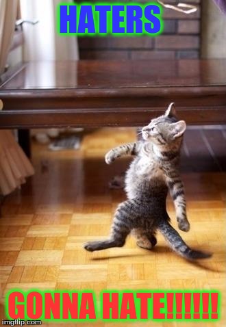 Cool Cat Stroll | HATERS; GONNA HATE!!!!!! | image tagged in memes,cool cat stroll | made w/ Imgflip meme maker