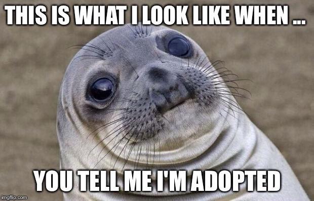 Awkward Moment Sealion Meme | THIS IS WHAT I LOOK LIKE WHEN ... YOU TELL ME I'M ADOPTED | image tagged in memes,awkward moment sealion | made w/ Imgflip meme maker