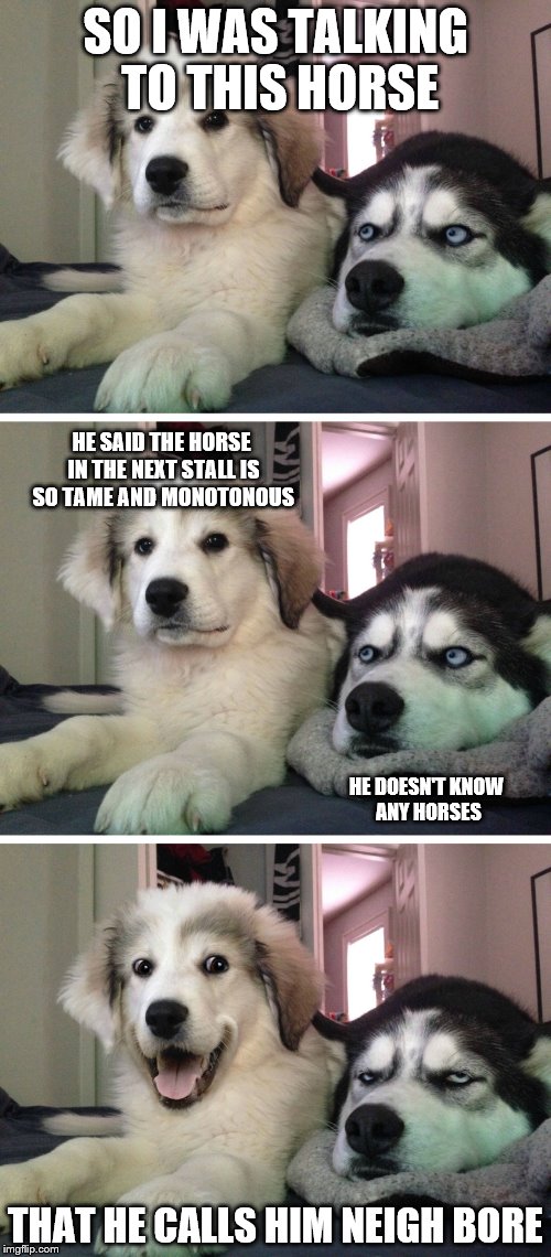 Bad pun dogs | SO I WAS TALKING TO THIS HORSE; HE SAID THE HORSE IN THE NEXT STALL IS SO TAME AND MONOTONOUS; HE DOESN'T KNOW ANY HORSES; THAT HE CALLS HIM NEIGH BORE | image tagged in bad pun dogs | made w/ Imgflip meme maker