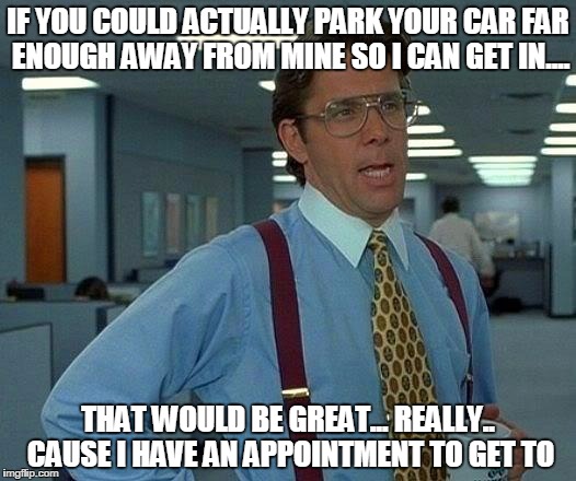 That Would Be Great | IF YOU COULD ACTUALLY PARK YOUR CAR FAR ENOUGH AWAY FROM MINE SO I CAN GET IN.... THAT WOULD BE GREAT... REALLY.. CAUSE I HAVE AN APPOINTMENT TO GET TO | image tagged in memes,that would be great | made w/ Imgflip meme maker