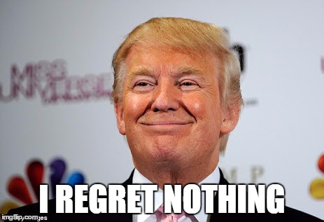 Donald trump approves | I REGRET NOTHING | image tagged in donald trump approves | made w/ Imgflip meme maker