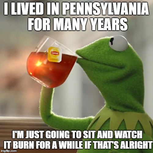 But That's None Of My Business Meme | I LIVED IN PENNSYLVANIA FOR MANY YEARS I'M JUST GOING TO SIT AND WATCH IT BURN FOR A WHILE IF THAT'S ALRIGHT | image tagged in memes,but thats none of my business,kermit the frog | made w/ Imgflip meme maker