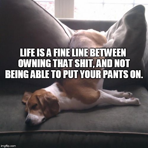 Life as I know it | LIFE IS A FINE LINE BETWEEN OWNING THAT SHIT, AND NOT BEING ABLE TO PUT YOUR PANTS ON. | image tagged in tired pup,my life,life as i know it,life,real life | made w/ Imgflip meme maker
