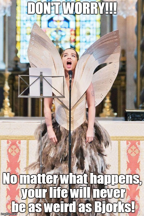 DON'T WORRY!!! No matter what happens, your life will never be as weird as Bjorks! | image tagged in bjork | made w/ Imgflip meme maker