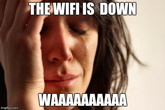 First World Problems | THE WIFI IS  DOWN; WAAAAAAAAAA | image tagged in memes,first world problems | made w/ Imgflip meme maker