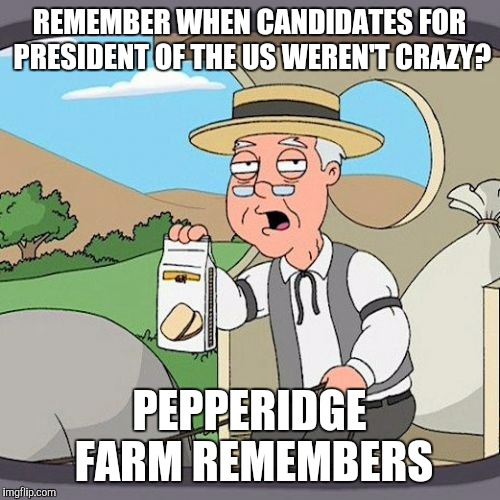 Pepperidge Farm Remembers | REMEMBER WHEN CANDIDATES FOR PRESIDENT OF THE US WEREN'T CRAZY? PEPPERIDGE FARM REMEMBERS | image tagged in memes,pepperidge farm remembers,donald,donald trump | made w/ Imgflip meme maker
