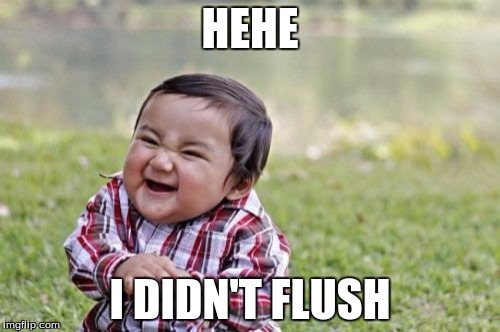 Evil Toddler | HEHE; I DIDN'T FLUSH | image tagged in memes,evil toddler | made w/ Imgflip meme maker