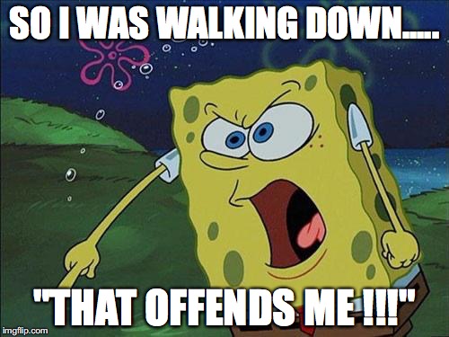 Spongebob Yelling | SO I WAS WALKING DOWN..... "THAT OFFENDS ME !!!" | image tagged in spongebob yelling | made w/ Imgflip meme maker