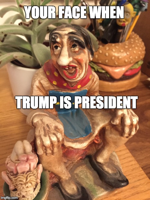 Shock and awe when Trump is President | YOUR FACE WHEN; TRUMP IS PRESIDENT | image tagged in political meme | made w/ Imgflip meme maker
