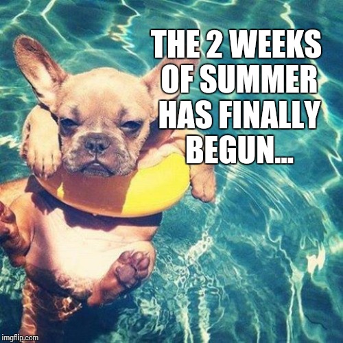 The Summer has finally arrived... | THE 2 WEEKS OF SUMMER HAS FINALLY BEGUN... | image tagged in summer is here dog pug,funny memes,summer,5 seconds of summer | made w/ Imgflip meme maker