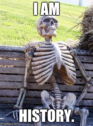 Waiting Skeleton | I AM; HISTORY. | image tagged in memes,waiting skeleton | made w/ Imgflip meme maker