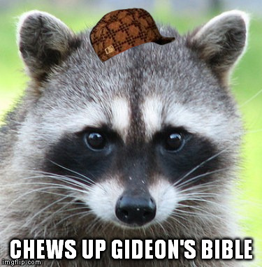 CHEWS UP GIDEON'S BIBLE | image tagged in memes,the beatles,raccoon | made w/ Imgflip meme maker