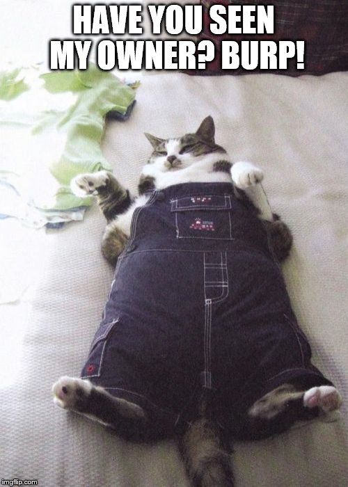 Fat Cat | HAVE YOU SEEN MY OWNER? BURP! | image tagged in memes,fat cat | made w/ Imgflip meme maker