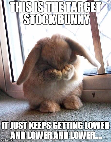 and lower....and lower......and lower | THIS IS THE TARGET STOCK BUNNY; IT JUST KEEPS GETTING LOWER AND LOWER AND LOWER.... | image tagged in embarrassed bunny,target,stock,transgender,bathroom | made w/ Imgflip meme maker