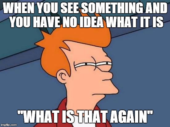 Futurama Fry Meme | WHEN YOU SEE SOMETHING AND YOU HAVE NO IDEA WHAT IT IS; "WHAT IS THAT AGAIN" | image tagged in memes,futurama fry | made w/ Imgflip meme maker