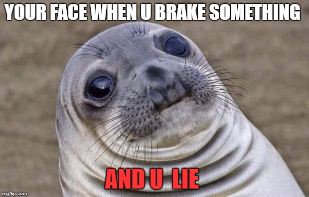 Awkward Moment Sealion Meme | YOUR FACE WHEN U BRAKE SOMETHING; AND U  LIE | image tagged in memes,awkward moment sealion | made w/ Imgflip meme maker