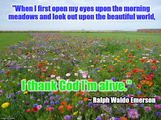 THANK GOD I'M ALIVE | "When I first open my eyes upon the morning meadows and look out upon the beautiful world, I thank God I'm alive."; ~ Ralph Waldo Emerson | image tagged in meadow | made w/ Imgflip meme maker