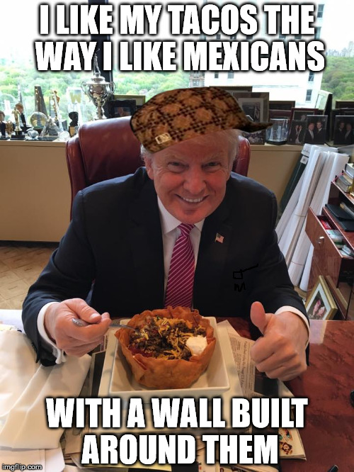 I LIKE MY TACOS THE WAY I LIKE MEXICANS; WITH A WALL BUILT AROUND THEM | image tagged in donald trump,trump 2016,trump,dump trump | made w/ Imgflip meme maker