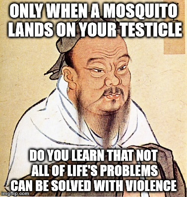 Anyone know the original author of this? they deserve a cookie
 | ONLY WHEN A MOSQUITO LANDS ON YOUR TESTICLE; DO YOU LEARN THAT NOT ALL OF LIFE'S PROBLEMS CAN BE SOLVED WITH VIOLENCE | image tagged in confucius says | made w/ Imgflip meme maker