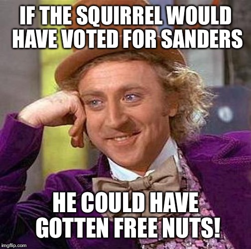 Creepy Condescending Wonka Meme | IF THE SQUIRREL WOULD HAVE VOTED FOR SANDERS HE COULD HAVE GOTTEN FREE NUTS! | image tagged in memes,creepy condescending wonka | made w/ Imgflip meme maker