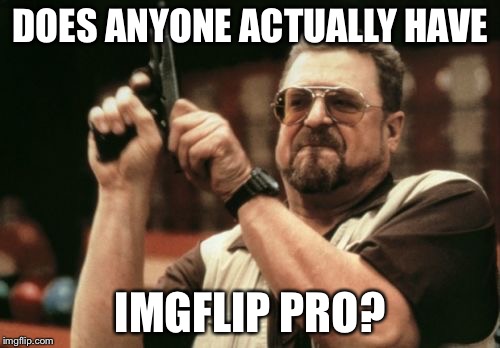 Am I The Only One Around Here | DOES ANYONE ACTUALLY HAVE; IMGFLIP PRO? | image tagged in memes,am i the only one around here | made w/ Imgflip meme maker