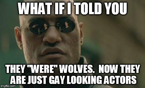 Matrix Morpheus Meme | WHAT IF I TOLD YOU THEY "WERE" WOLVES.  NOW THEY ARE JUST GAY LOOKING ACTORS | image tagged in memes,matrix morpheus | made w/ Imgflip meme maker