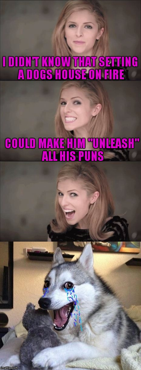 I DIDN'T KNOW THAT SETTING A DOGS HOUSE ON FIRE COULD MAKE HIM "UNLEASH" ALL HIS PUNS | made w/ Imgflip meme maker