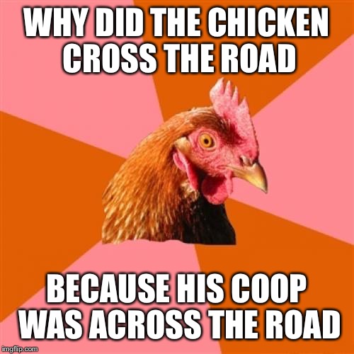 Sometimes it really is what it is | WHY DID THE CHICKEN CROSS THE ROAD; BECAUSE HIS COOP WAS ACROSS THE ROAD | image tagged in memes,anti joke chicken,funny,truth,simple | made w/ Imgflip meme maker